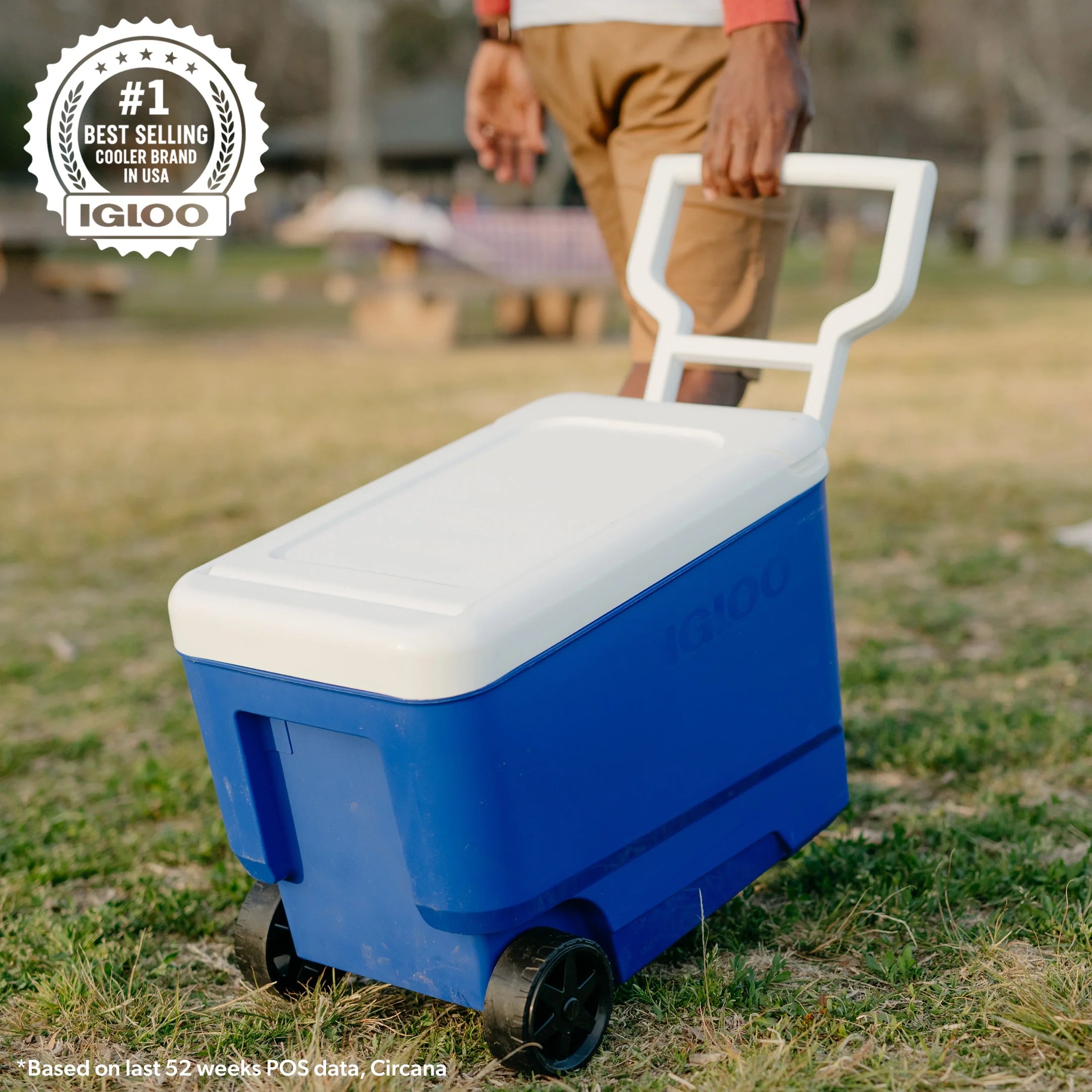 38 QT Wheelie Cool Hard Sided Cooler with Wheels, Blue