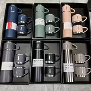 Stainless Steel Insulated Water Bottle