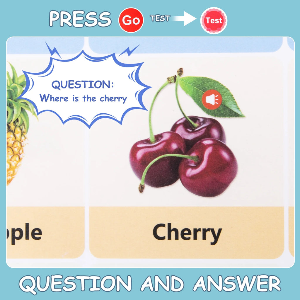 15 in 1 Talking Sound Books, 470+ Words Learning & Education Kids Toys, Interactive Electronic Audio Books for Toddlers Age 3-6 Years Old Gifts