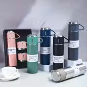 Stainless Steel Insulated Water Bottle